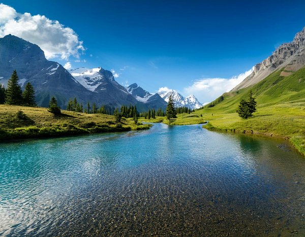 Les meilleurs kits de cuisine de camping pour les gourmets en plein air