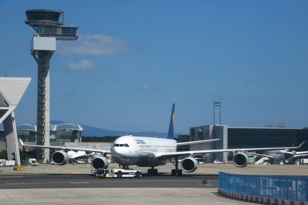 Location de gîtes écologiques : tout ce que vous devez savoir